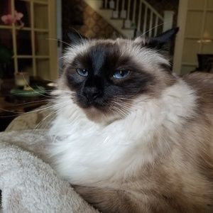 Meet your Posher, Stefanie